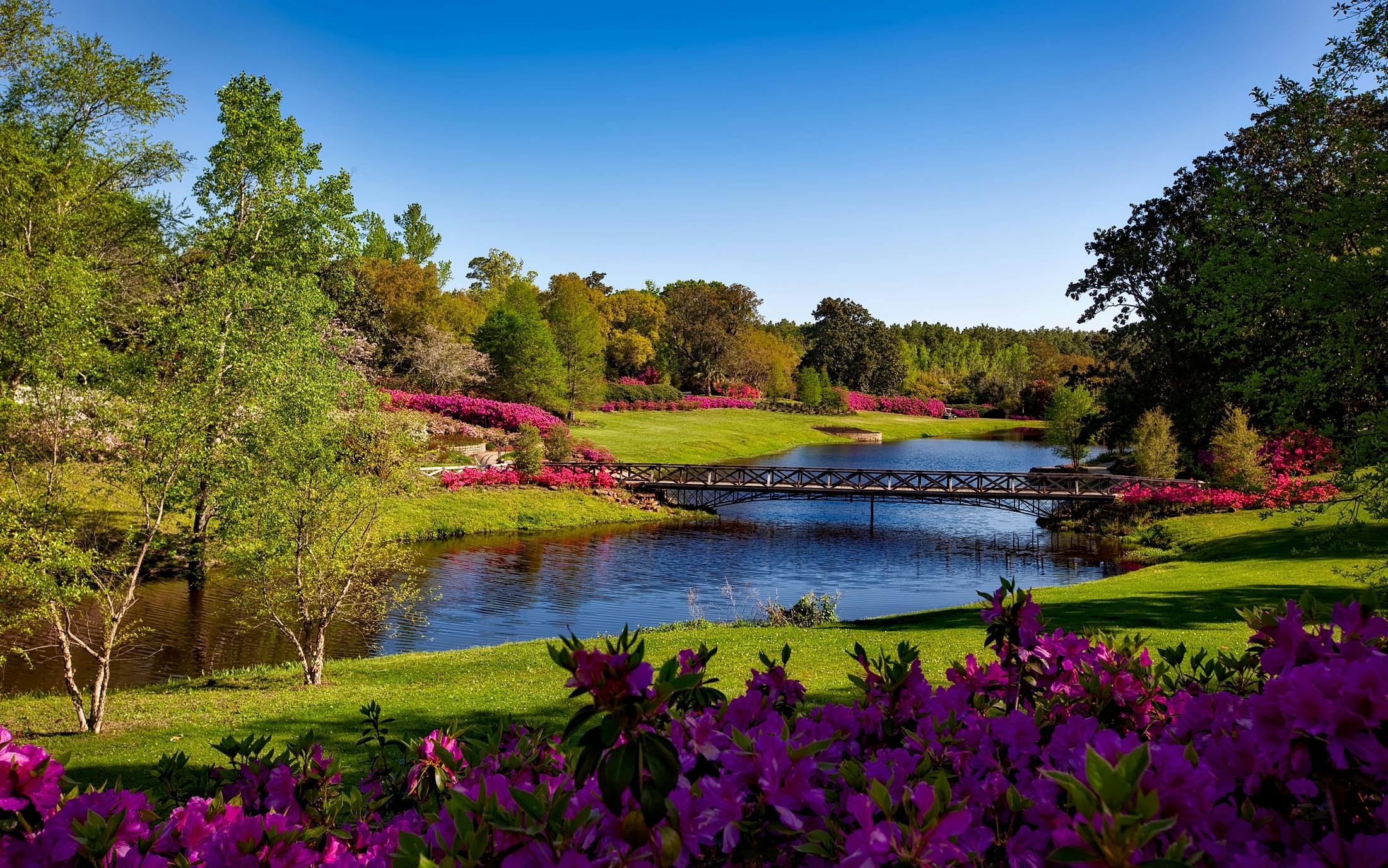 a bridge over a lake surrounded by flowers
