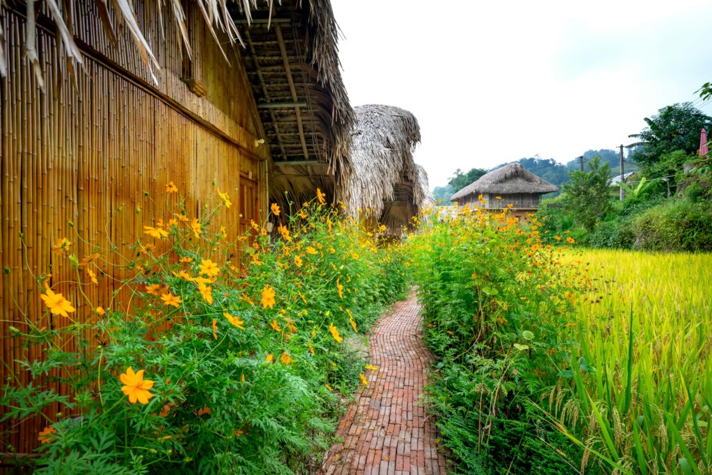 Tea tourism homestay in Assam hidden village